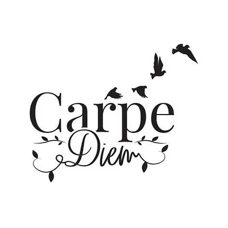 Botel Le Carpe Diem Bateau Chauffe Toute L'annee *