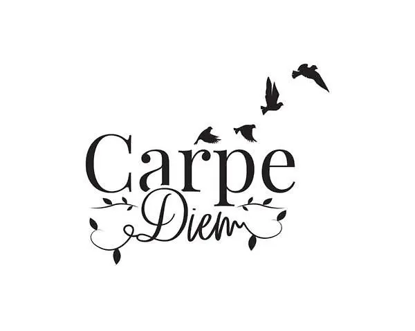 Botel Le Carpe Diem Bateau Chauffe Toute L'annee *